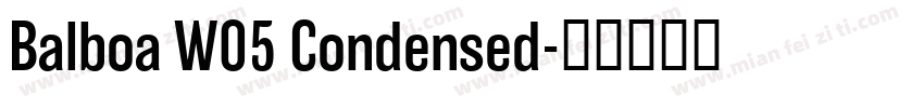 Balboa W05 Condensed字体转换